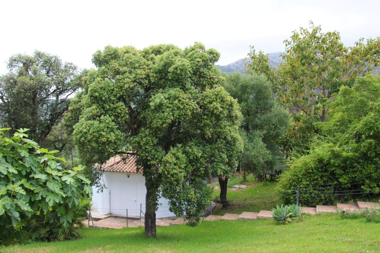 Finca El Campo Алхесирас Екстериор снимка